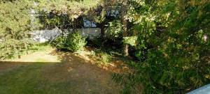 Bild20