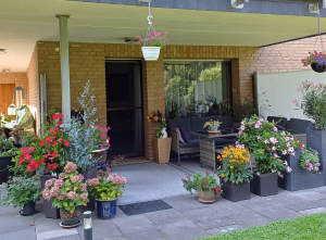 Bild20