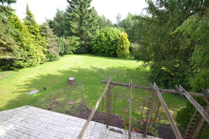 Bild19